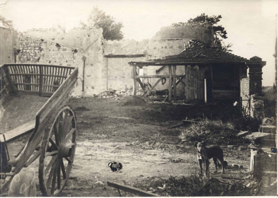 Description de l'image