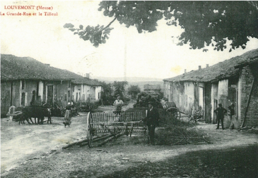 Description de l'image